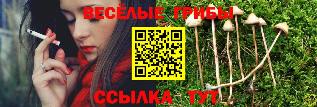 Галлюциногенные грибы прущие грибы  продажа наркотиков  Павловский Посад  Вход с VPN 